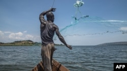 De l'Egypte à l'Ouganda, l'AFP a voulu rendre compte du dépérissement du Nil dont le bassin couvre 10% de la superficie de l'Afrique et constitue une ressource essentielle pour quelque 500 millions de personnes.