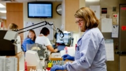 Quiz - Which Is Better for Your Career: Generalizing or Specializing?