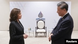 U.S. Vice President Kamala Harris greets China's President Xi Jinping before the APEC Leaders' Retreat in Bangkok, Thailand, Nov. 19, 2022. (The White House/Handout via Reuters) 