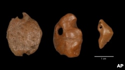 Giant Sloth Early Americans