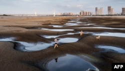 People walk on a section of a parched river bed along the Yangtze River in Wuhan in China's central Hubei province, Sept. 2, 2022. 