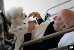 Jeff Philipson (80), tersenyum saat dikunjungi Zeus, seekor anjing jenis bichon frise, di The Hebrew Home, Riverdale, New York, 9 Desember 2020. (AP/Seth Wenig)
