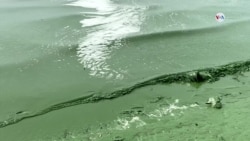 Contaminación Lago de Maracaibo en Venezuela