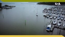 Nature | Sailing on the Chesapeake Bay