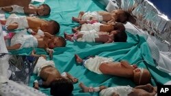 This photo released by Dr. Marawan Abu Saada shows prematurely born Palestinian babies in Al Shifa Hospital in Gaza City, Nov. 12, 2023. (Dr. Marawan Abu Saada via AP)