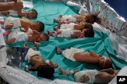 This photo released by Dr. Marawan Abu Saada shows prematurely born Palestinian babies in Shifa Hospital in Gaza City, Nov. 12, 2023. (Dr. Marawan Abu Saada via AP)