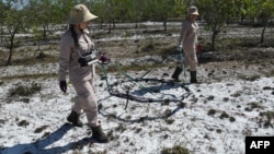 Hai phụ nữ thực hiện việc dò bom mìn chưa nổ ở huyện Triệu Phong, tỉnh Quảng Trị, Việt Nam, 6/1/2020 (Photo by Nhac NGUYEN/AFP).