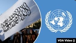 ملګرو ملتونو ویلي چې د دوحې په درېیمه غونډه کې به افغانستان لپاره د یو شمیر هیوادونو ځانګړي استازي اود طالبانو د حکومت استازي ګډون وکړي.