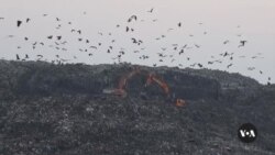 Prominent Farming Area in Indian Kashmir Turns Into Garbage Mountain