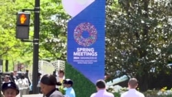 Civîna Salane ya Banka Cîhanî û Sindoqa Diravî ya Cîhanî