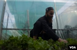 Mehraj Ahmad Dar was hired by Farooq Ahmad Gannie to look after his exotic farm along with five other men. (Wasim Nabi/VOA)