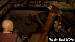 FILE - Ghulam Ahmed Wani uses ox to extract mustard oil in the town of Pampore, district Pulwama of Jammu and Kashmir, June 2023.