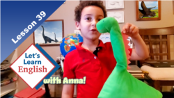 Lesson 39: Where are the dinosaurs?
