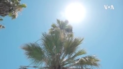 Климатските промени се голем фактор во екстремно топлотните бранови