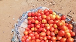 Banako sugu cogoya sunkalo la