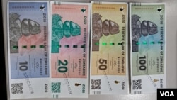 ZIG currency notes