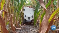 Yangi texnologiyalar: qishloq xo'jaligining kelajagi