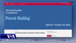 Muzeu Metropolitan i Artit në Nju York fton artisin nga Kosova Petrit Halilaj