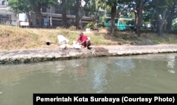 Seorang warga tampak sedang mencuci limbah rumen hewan kurban di sungai usai Idul Adha, di Surabaya, Jawa Timur, 29 Juni 2023. (Foto: Pemkot Surabaya)