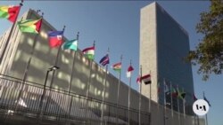 No Progress Made in Security Council on Gaza Aid Resolution 
