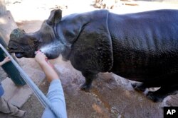 Chutti, a rhinoceros at the Phoenix Zoo, gets cooled off by keeper Leslie Lindholm, Tuesday, June 27, 2023, in Phoenix.