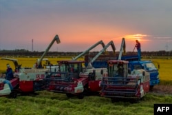 FILE — This aerial photo taken in Oct. 28, 2023, shows combines used on farms in Huaian, in China's eastern Jiangsu province.