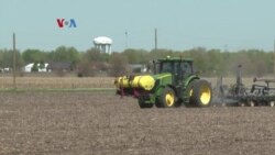 Kekhawatiran Gejolak Harga dan Kerentanan Pangan Pasca Pembatalan Perjanjian Ekspor Biji-bijian