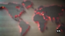  امیگرینٹ ریسٹورینٹ 