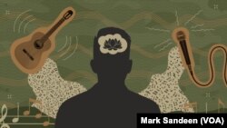 Graphic by Mark Sandeen