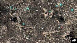 In this screen grab from video taken Dec. 6, 2023, by the BUAR drone unit of Ukraine's 110th Mechanized Brigade, bodies of presumably Russian soldiers lie scattered under a treeline in Stepove village, near the front-line town of Avdiivka, Ukraine.