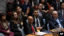 Phó Đại sứ Mỹ Robert Wood tại LHQ.