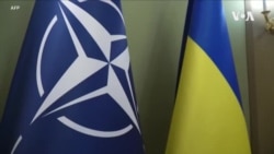 Дали НАТО-сојузниците ќе ја постават Украина на забрзана лента за членство?