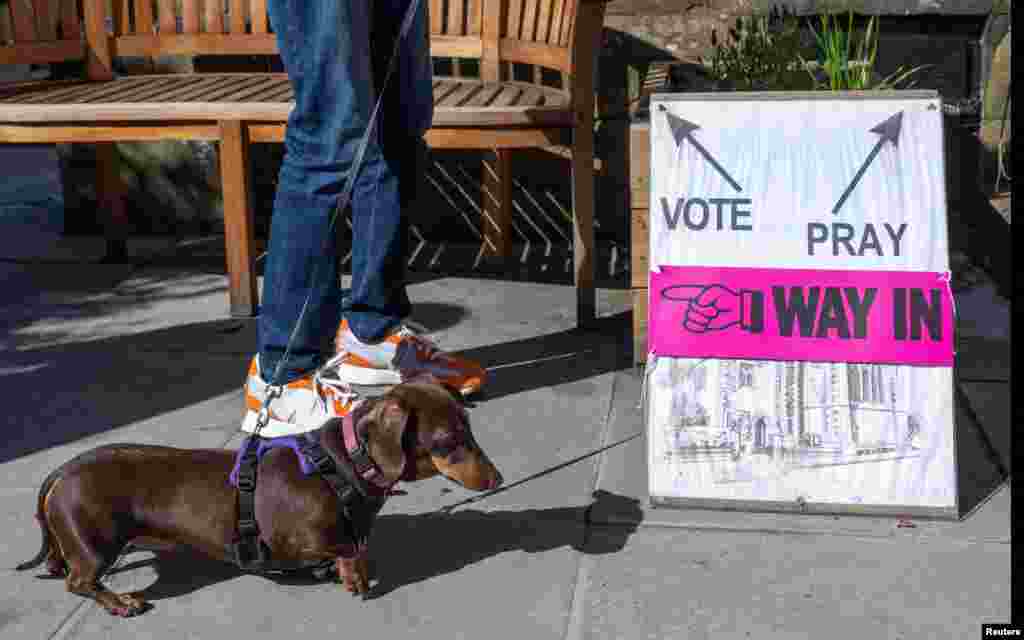 A person and a dog wait outside St James' Church polling station during the general election in Edinburgh, Scotland, Britain.