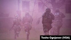 НАТО показна вежба