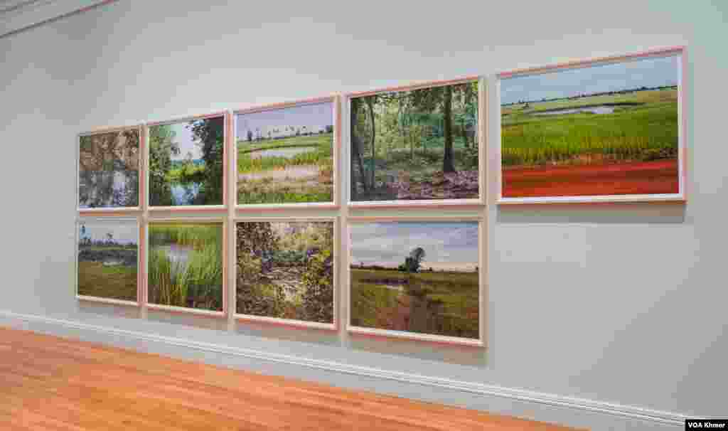 រូបថតបង្ហាញពីទេសភាពនៅតំបន់ជនបទក្នុងប្រទេសកម្ពុជាត្រូវបានដាក់តាំងពិព័រណ៍នៅក្នុងវិចិត្រសាលនៃសាកលវិទ្យាល័យ Michigan ក្នុងក្រុង Ann Arbor ថ្ងៃទី ៥ ខែមេសា ឆ្នាំ២០២៤។ (នីណា យ៉េង/វីអូអេ)