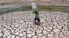 UN climate chief warns humanity has 2 years ‘to save the world’ 