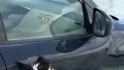 Hujan Badai Landa UEA, Bahrain, & Oman, 18 Orang Tewas