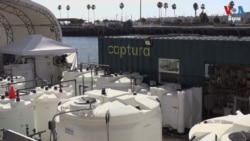 ក្រុមហ៊ុនថ្មីមួយនៅកាលីហ្វ័រញ៉ាកំពុងលុបកាបូនចេញពីមហាសមុទ្រ