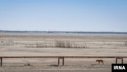 تالاب خشکیده هور العظیم در استان خوزستان. آرشیو