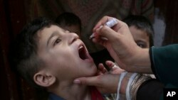 FILE - A health worker gives a polio vaccine to a child in Peshawar, Pakistan, June 27, 2022. 