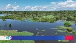 Exposición del BID busca sensibilizar para conservar la Amazonía