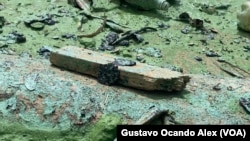 Detalle de la presencia de petróleo en restos de madera en las costas del norte del Lago de Maracaibo, en el occidente de Venezuela, en julio del año pasado.