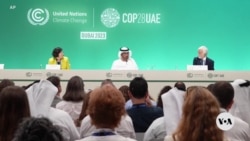COP28 Climate Summit Gets Heated Amid Accusations of Oil Lobbying 