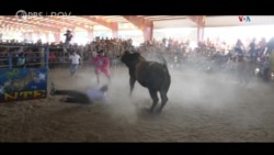 Toros y Santos documental -Rodrigo Dorfman- entrevista director.1