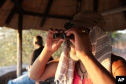 A game counter uses binoculars to spot animals coming to drink at a waterhole in Gonarezhou National Park, Oct. 29 2023.