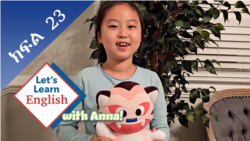 ክፍል 23: የዱር እንስሳት የት ይኖራሉ?