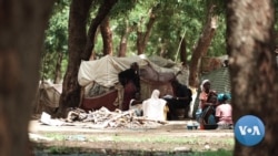 Chad, Other African Countries Not Thriving, UN Index Shows 