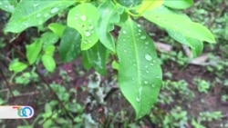 Jacob Galvan, agente de la DEA