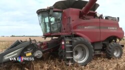 Nông nghiệp toàn cầu tiếp tục biến động vì cuộc chiến ở Ukraine 