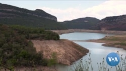 'Boiling Planet' Reducing Spain's Olive Crop, Raising Olive Oil Prices